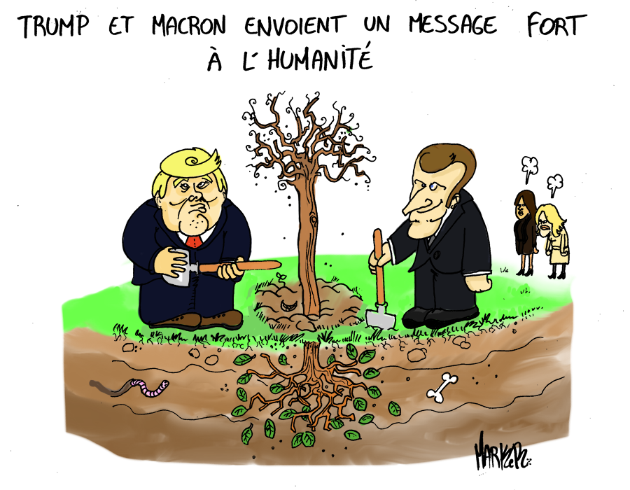 Un arbre pour se pendre