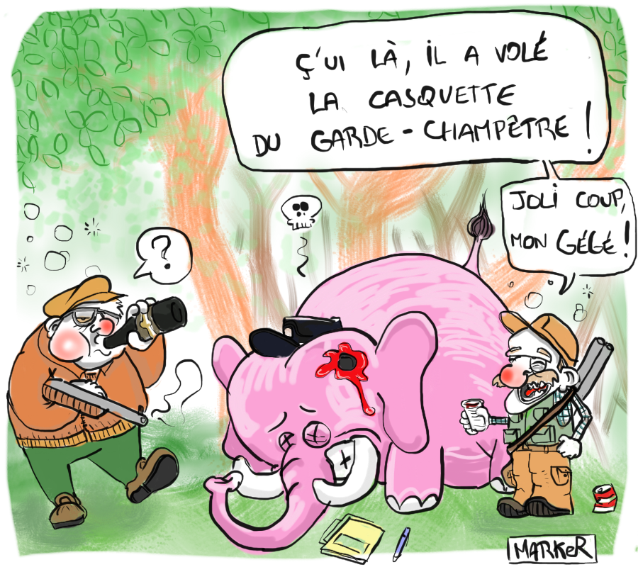 Ouverture de la chasse